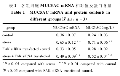 ϸ MUC5AC mNA ֵ׺