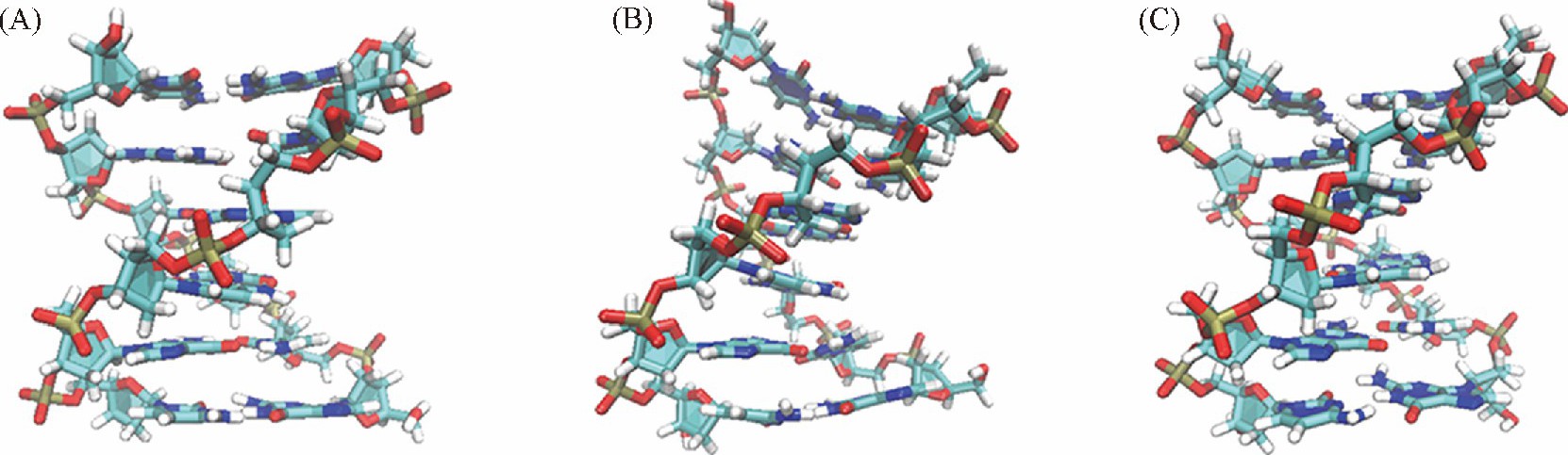 Selected structures near the global minimum of the PMFs for the hexamer sequence