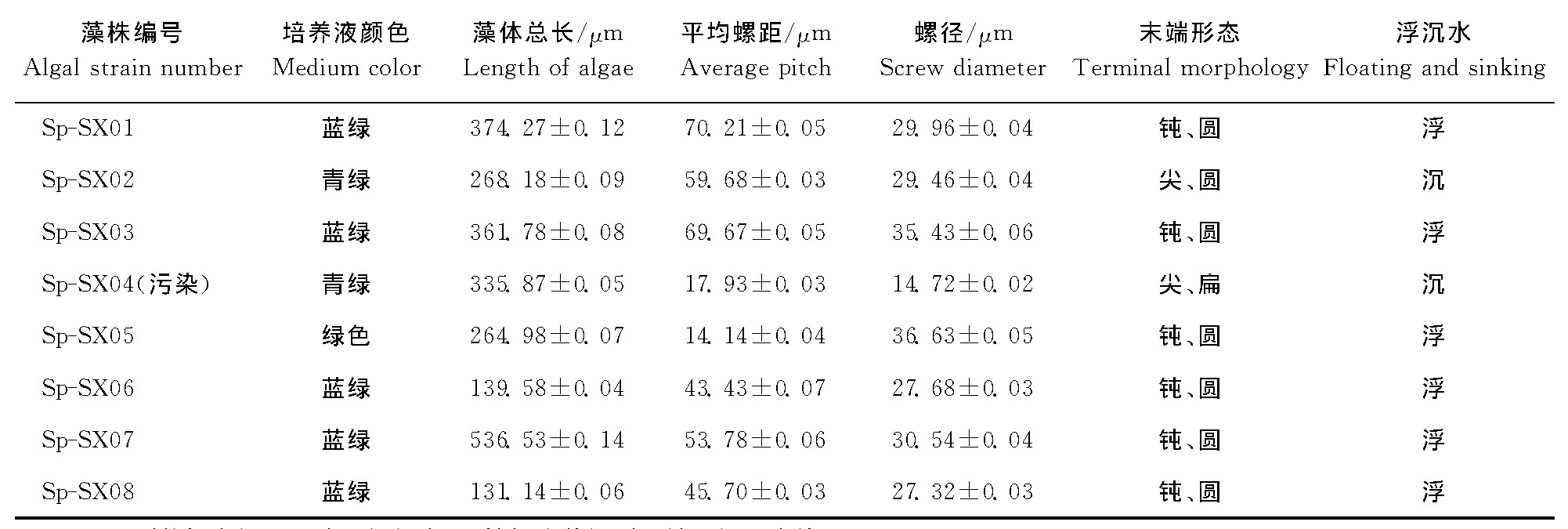 2 8̬ıȽTable 2 Comparison of the morphology of eight strains of spirulina